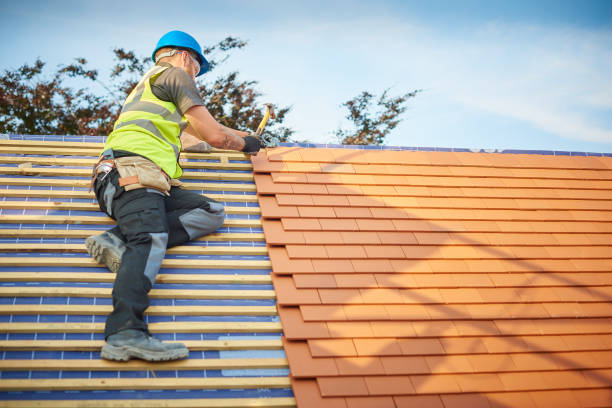 Best Rubber Roofing (EPDM, TPO)  in Rock Valley, IA